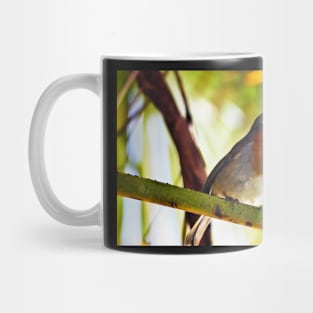 Little Red Robin bird Mug